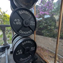 45 Lb Olympic 2 Inch Hole Weights 