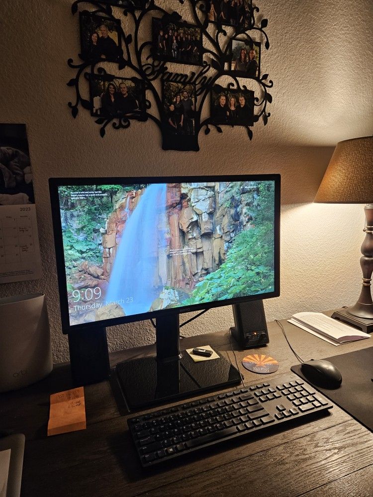 BenQ Gaming Monitor