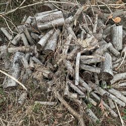 Seasoned And Fresh Firewood