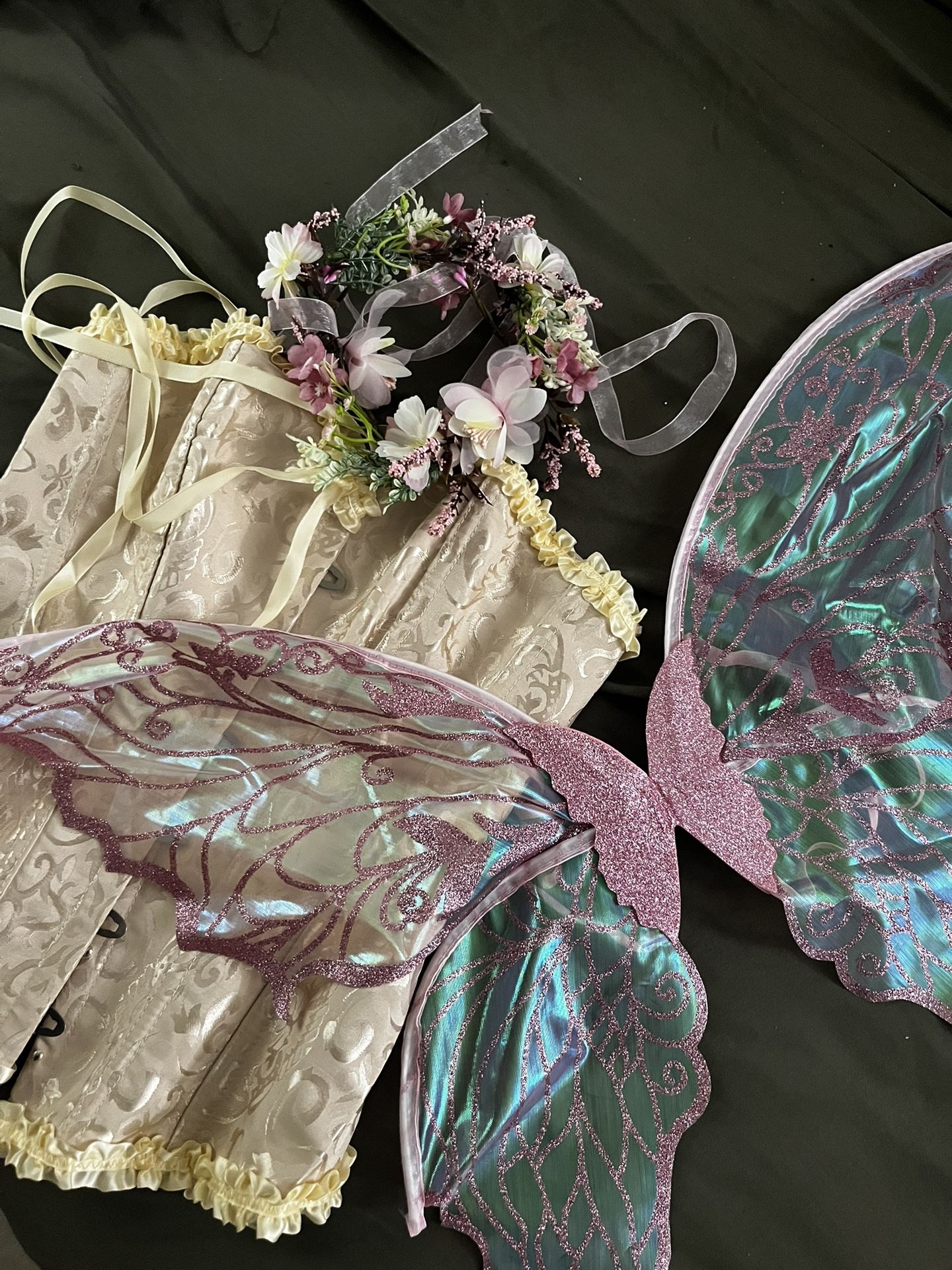Fairy Corset And Wings