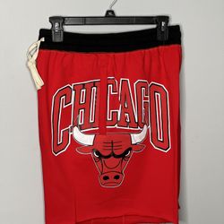 Chicago Bulls Shorts 