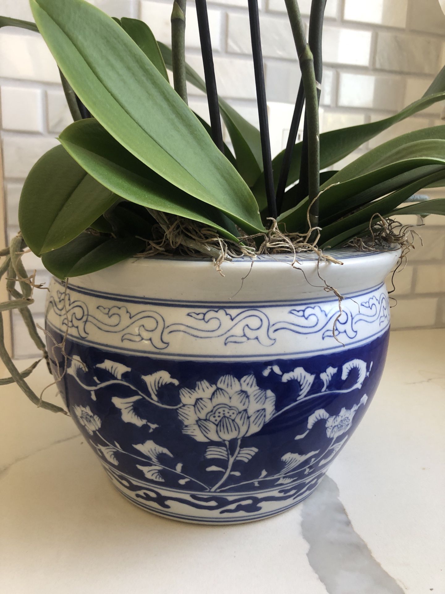 Medium Chinoiserie Ceramic Pot