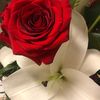 Re Loved 