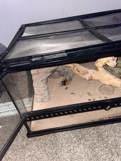 Reptile tank