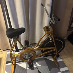 Vintage Schwinn Exerciser Stationary Bike