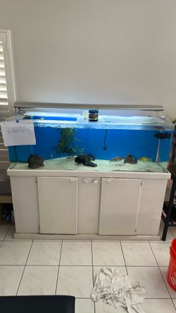 100 Gallon Acrylic Tank with Sump & Stand