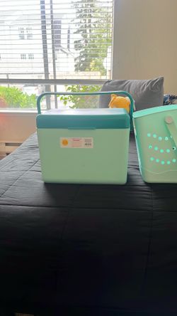 Brand New Cooler And Matching Bag