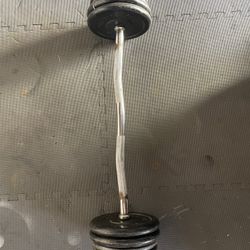 Curl Bar / Weights.      60 Dollars 