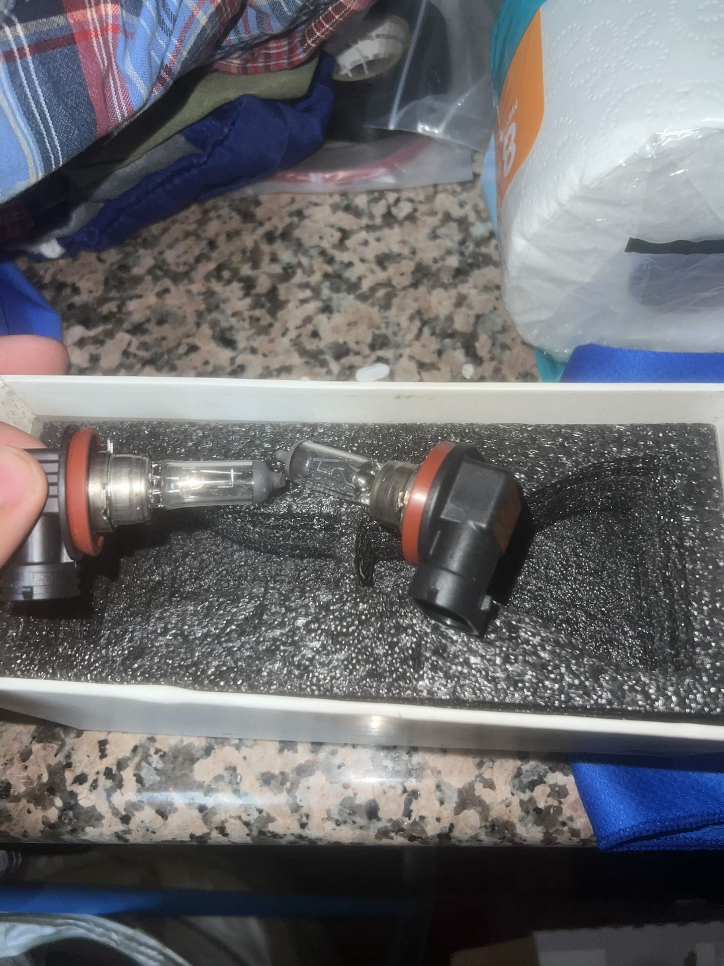 BMW H8 Headlight/Taillight Bulb - Genuine BMW 2008-2013