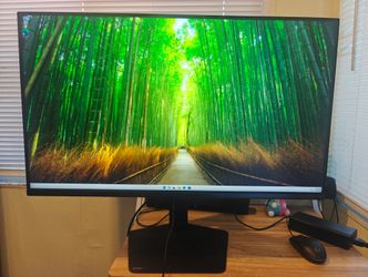 Gaming Monitor (Samsung Odyssey G5)