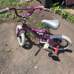 Princess Bike With Training Wheels 