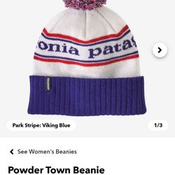 Patagonia Beanie