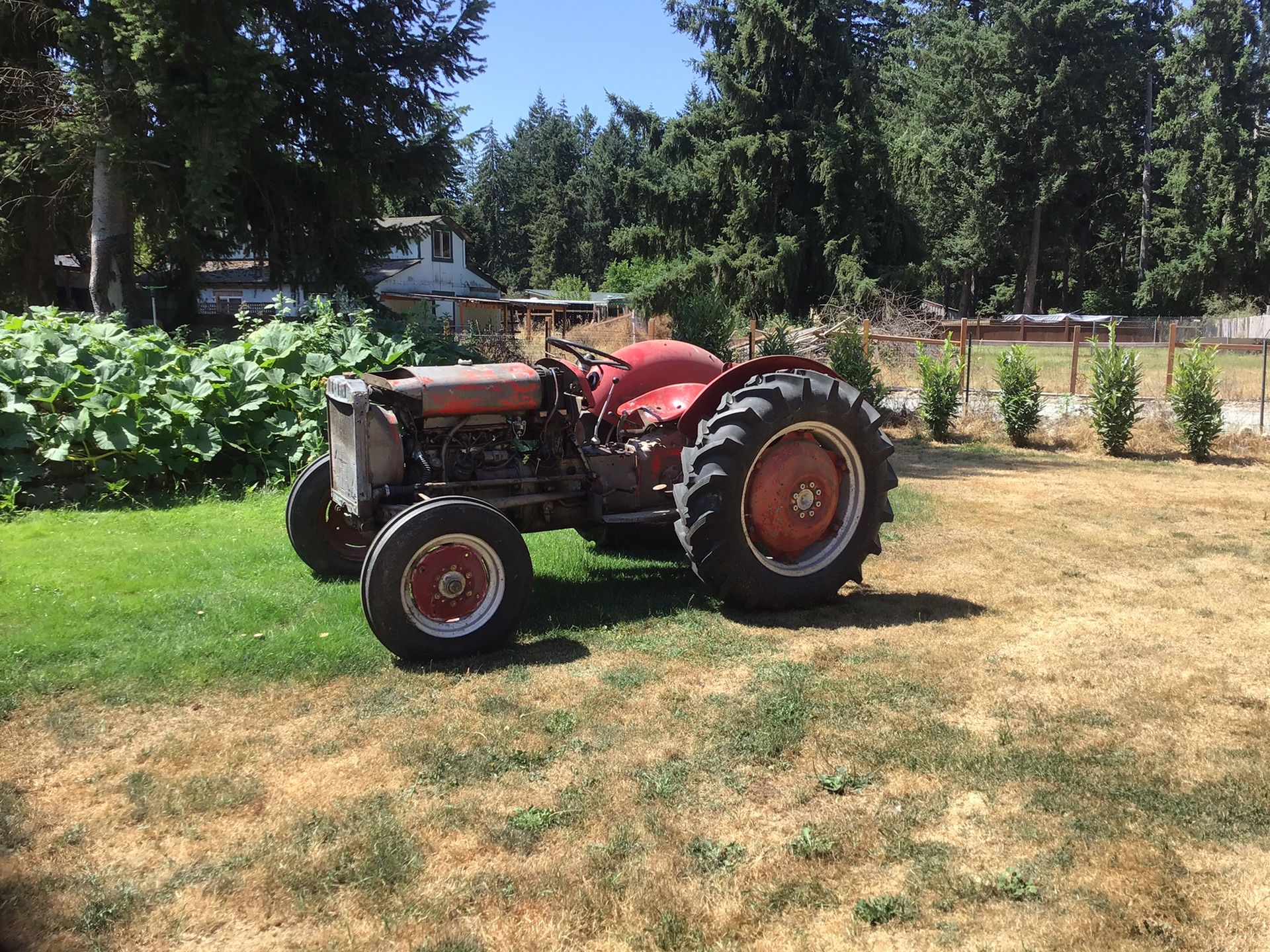 1952 Massey Ferguson tractor best offer or trade?