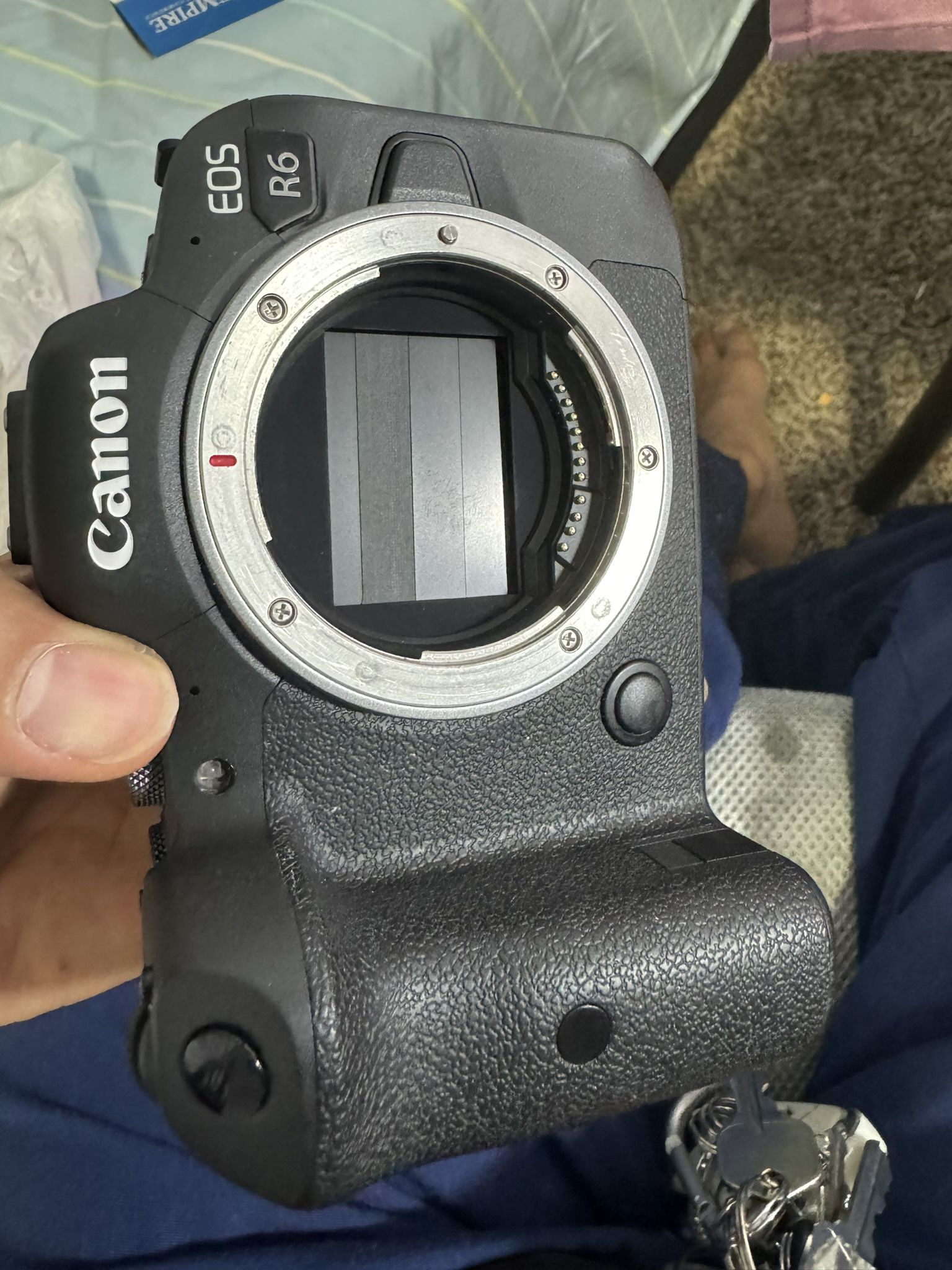 Canon R6 Body