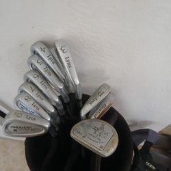 Lynx Golf Clubs + Bag