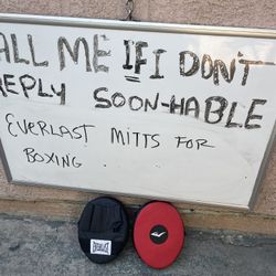 Boxing Everlast Mitts