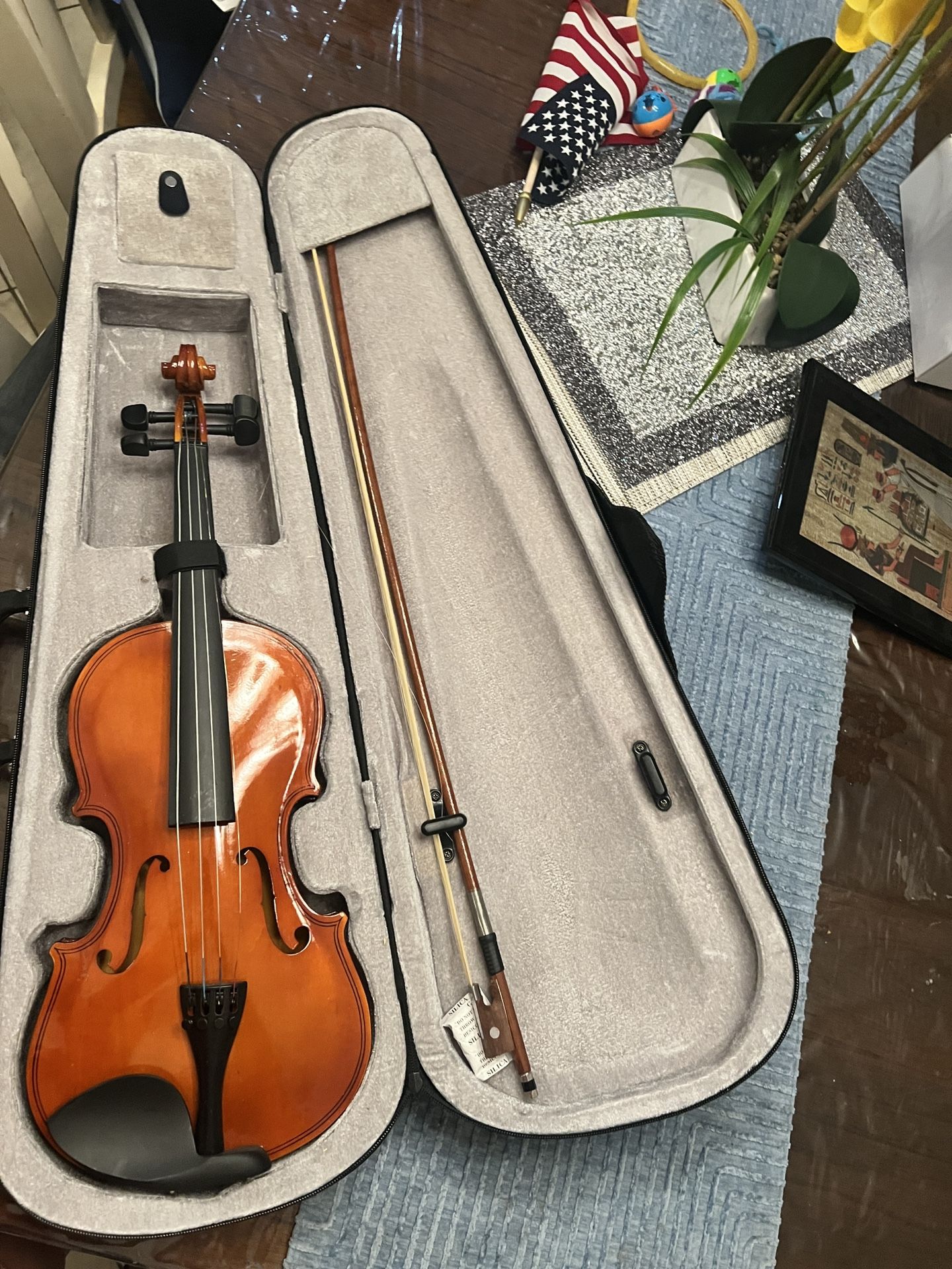 Violin