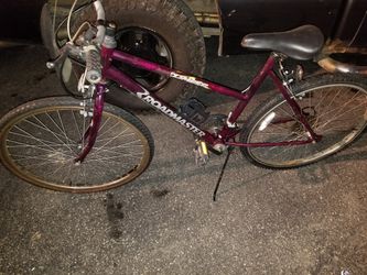 Roadmaster Climber Bike