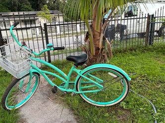 Unisex adult bike