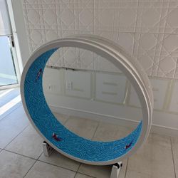 Cat Exercise Wheel “ONE FAST CAT”