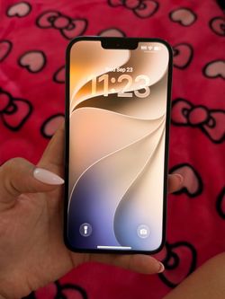 iPhone 13pro max