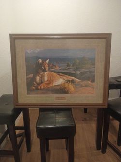 Framed Mountain Lion Wildlife Print