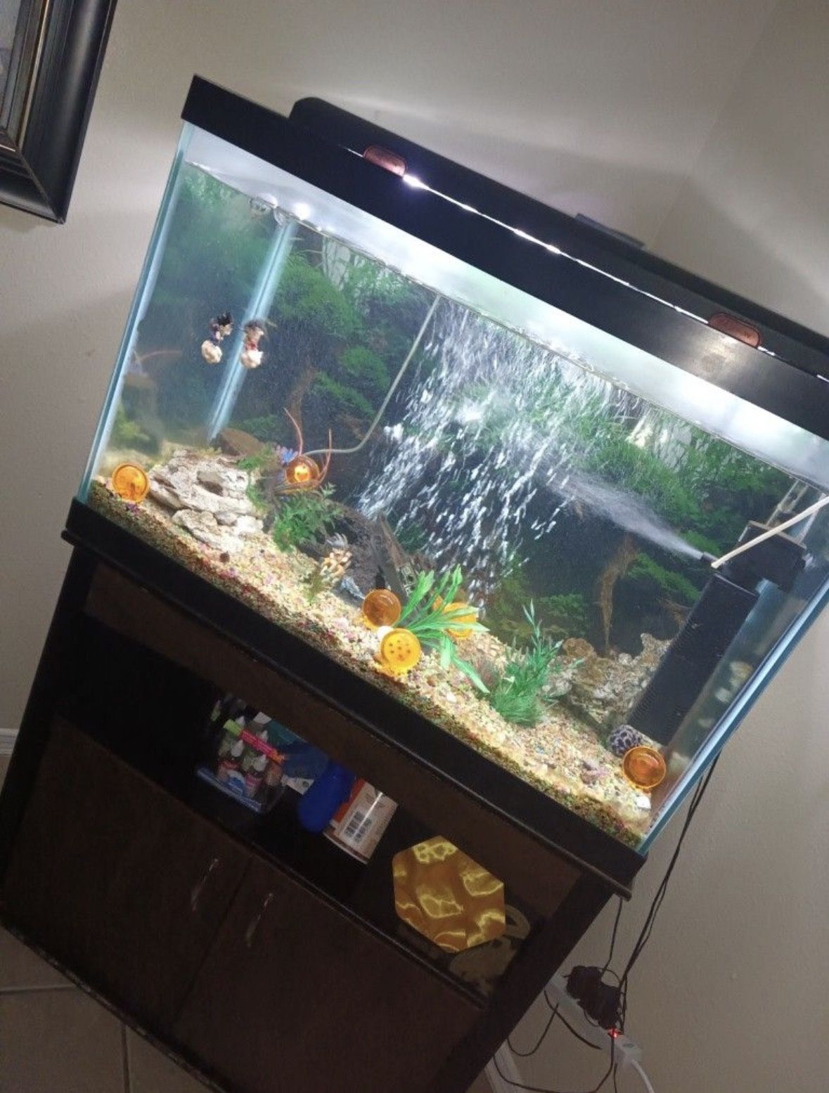 Fish Tank Aquarium 55 Gallon