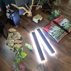 Aquarium accessories