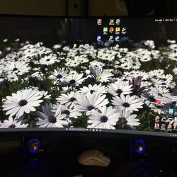 Dell 2k Gaming Monitor