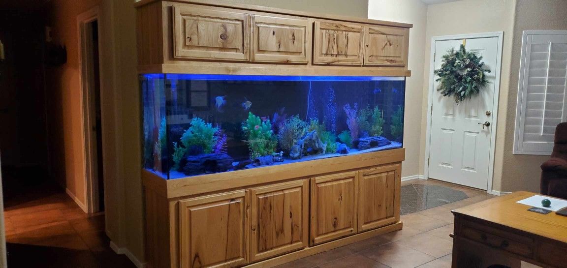 Fish Tank; 240 Gallon  