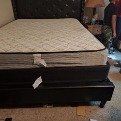 Queen Bed For Sale 
