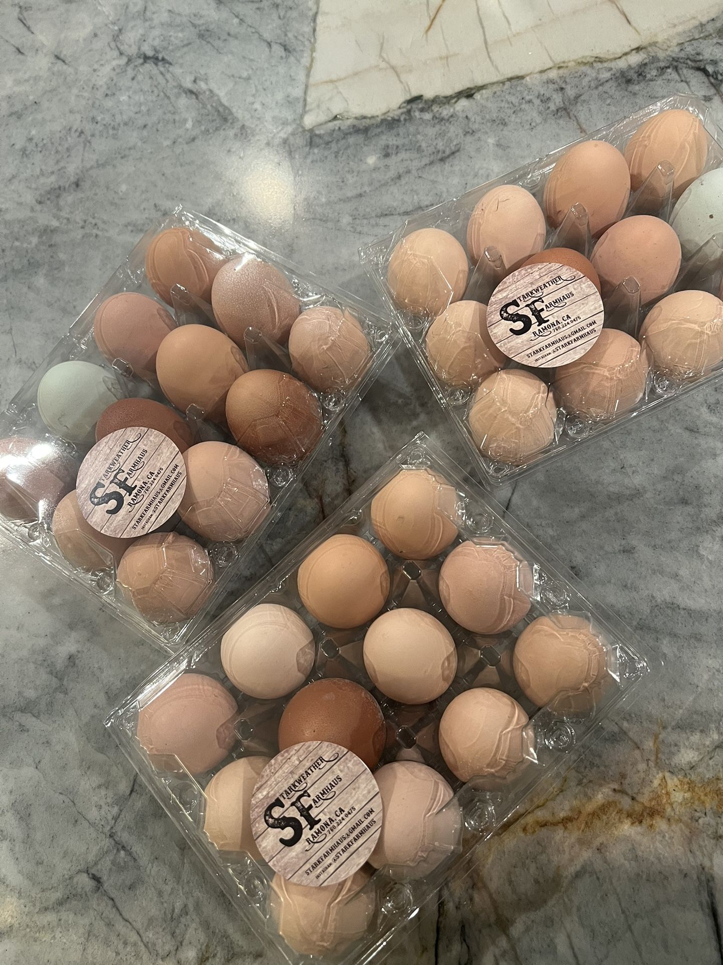 Fresh Chicken Eggs