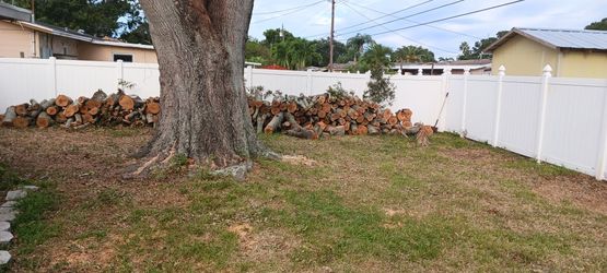 Fire Wood Take All Only  Free