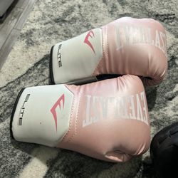 Everlast Boxing Gloves 