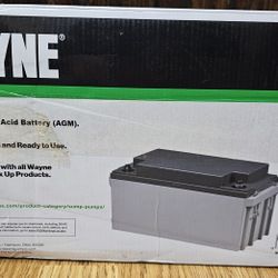 WAYNE 12 Volt 75 Amp Hour WSB1275