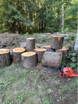 Free WOOD