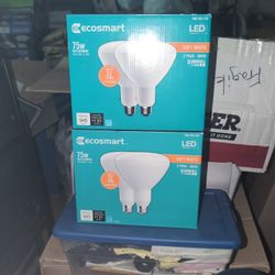 Ecosmart Lightbulbs-$40