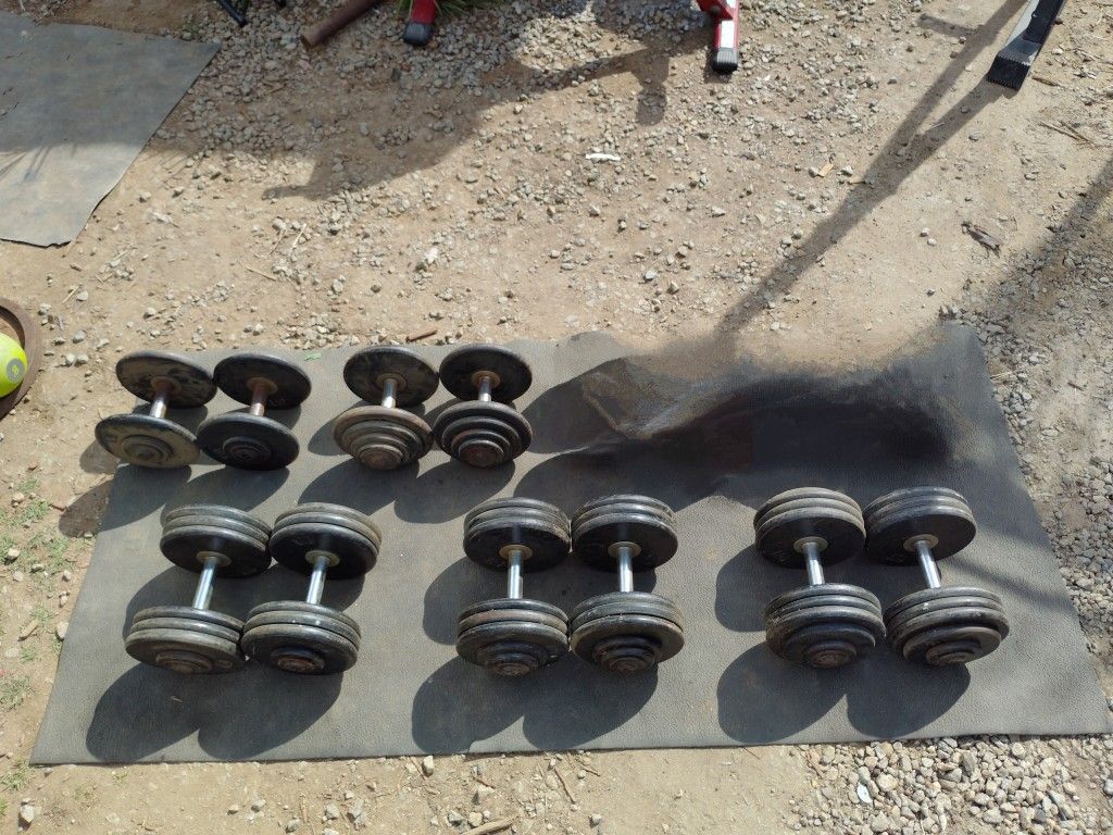 Prostyle Dumbbells 550lbs