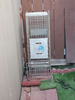 Animal trap