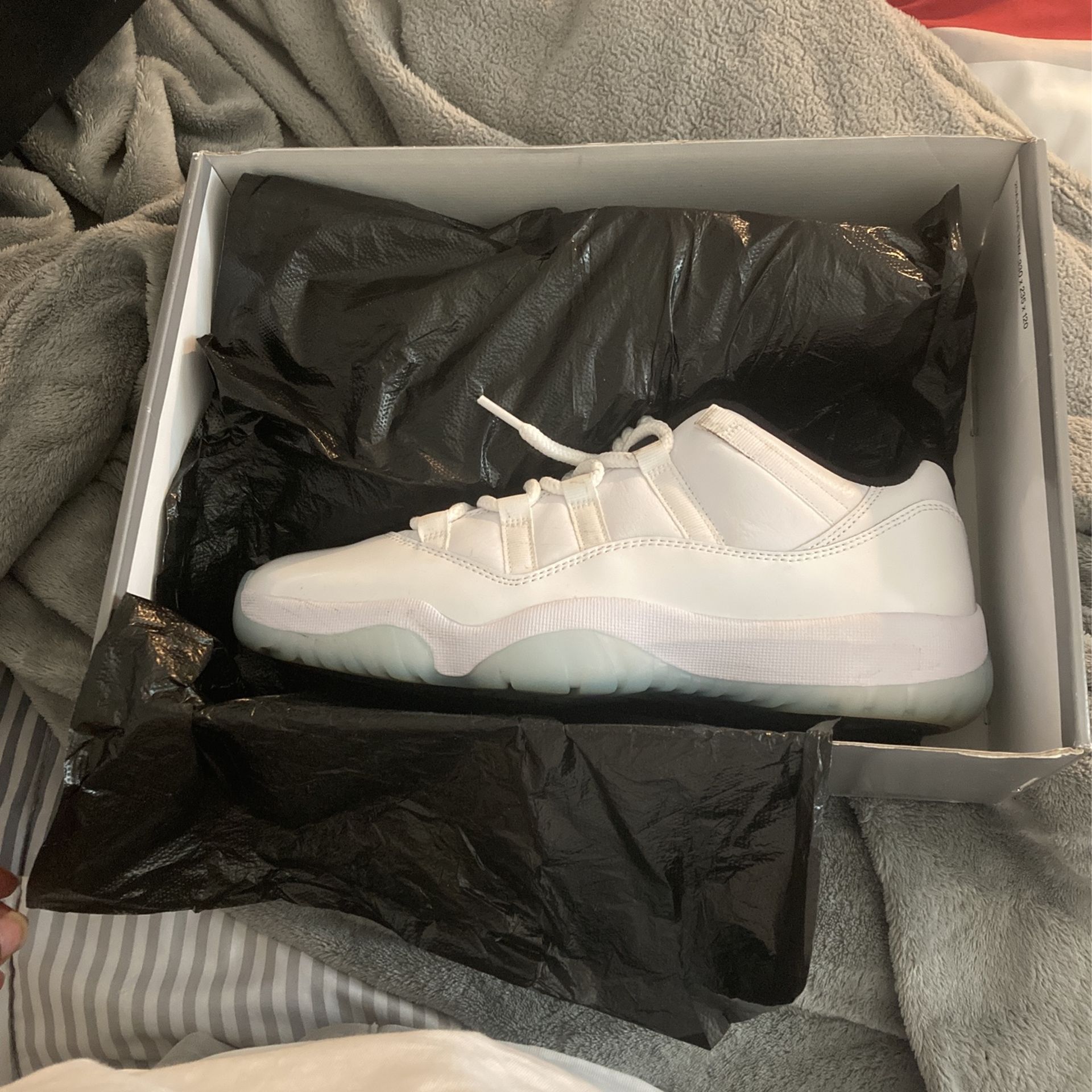 Jordan 11s Legends