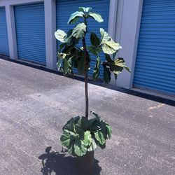 67” Fake Artificial Fiddle-Leaf Fig Indoor Home Decor Plant Tree! Good condition!