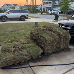 Pallet of Bermuda Grass