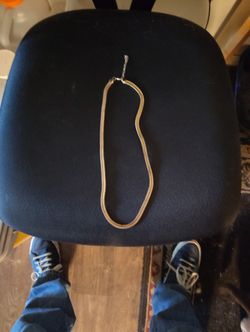 Gold Stainless Steel Men's Necklace