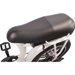 DJ Super Bike Step Thru 20"x 4" Fat Tire 48V 13Ah