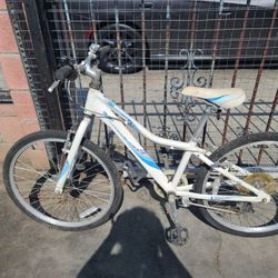 Giant Aluxx Technology Revel Bike