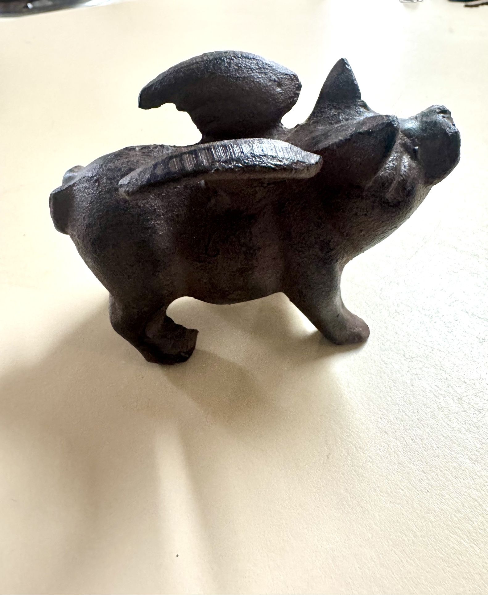When Pigs Fly Cast Iron