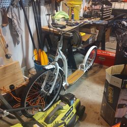 Adult Size Schwinn Kickbike