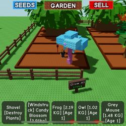 Roblox Grow A Garden Candy Blossom Account 