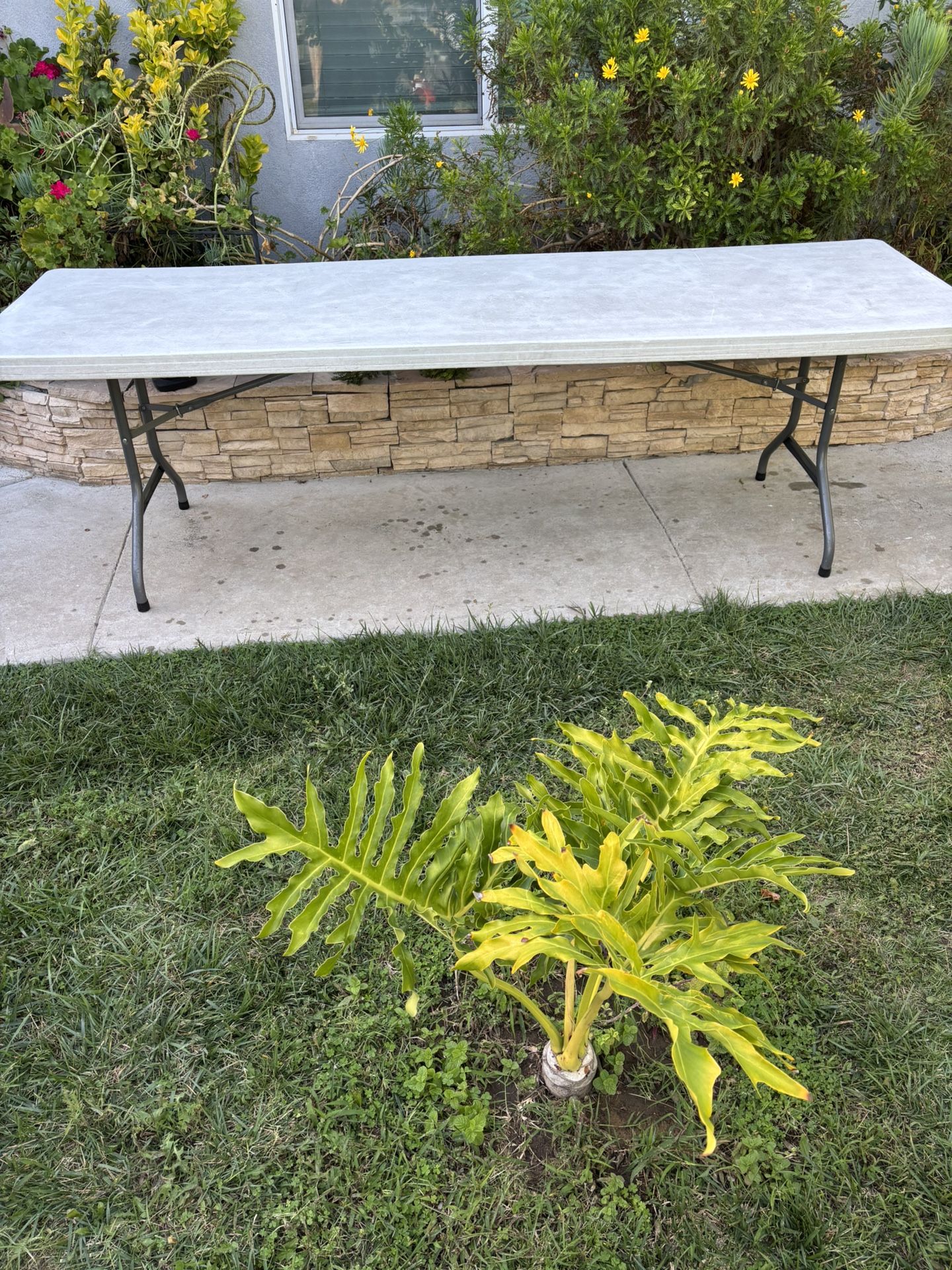Used 8 Feet Lifetime Table