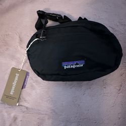Patagonia Belt Bag Fanny Bag